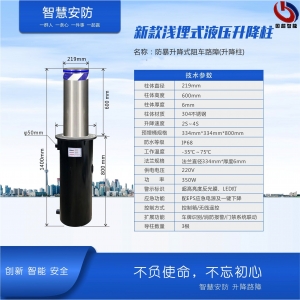 新款淺埋式全自動(dòng)升降柱-GCZN-S804B 新款淺埋式全自動(dòng)升降柱-GCZN-S804B